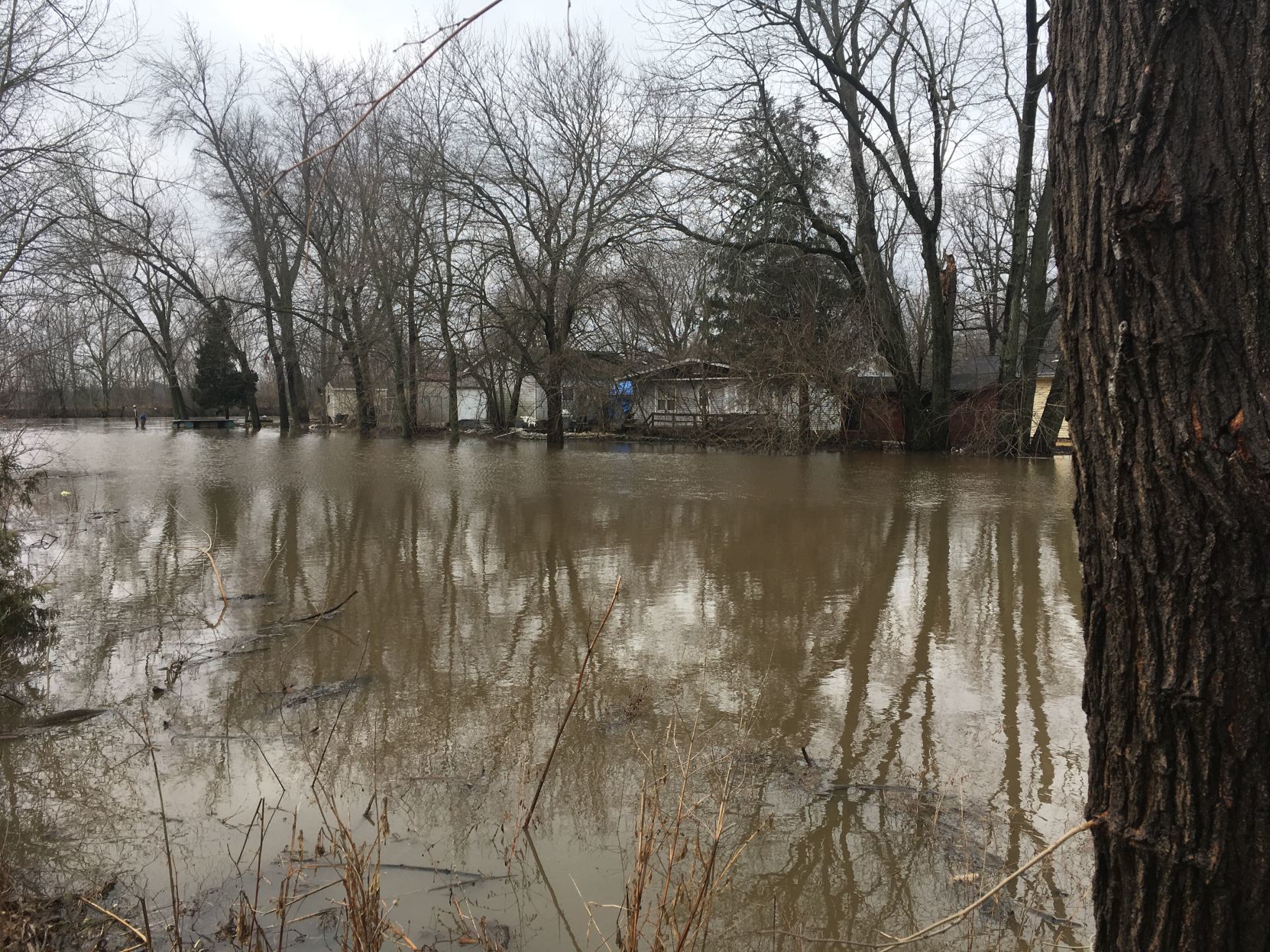 Flood